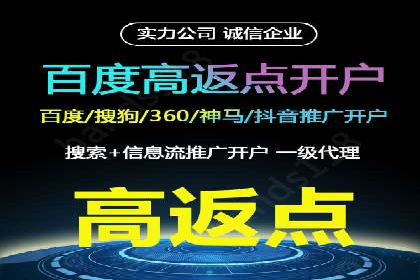 百度推广排名案例解读：旅游行业如何运用其扩大影响力